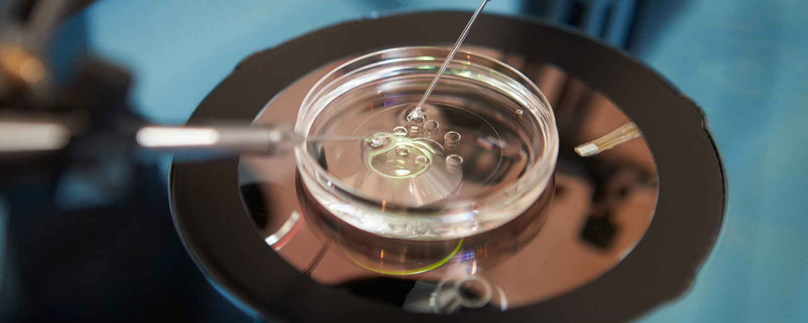 ivf training in bangladesh, philippines and india